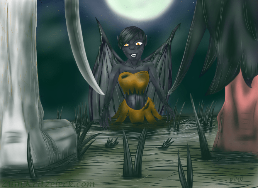 Digitalzeichnung, Comicstil: Im Vordergrund sieht man rechts den linken Fuß der Prinzessin, sowie ein Teil des Beins und des Negligées. Sie ist barfuß, das Negligée ist mit grünem Sumpfschlamm vollgesogen. Links sieht man den rechten Fuß Lucas, der in einem einstmals weißen, nun an zahlreichen Stellen grünlich verdreckten Stiefel steckt. Ebenso sieht man ihrn Säbel (gleichfalls verdreckt), dessen Spitze sich auf derselben Höhe befindet wie die Spitze eines Fetzens des Negligées der Prinzessin. Zwischen diesen beiden Spitzen ist die Gargoyle etwas weiter im Hintergrund zu erkennen. Diese steht bis zu den Hüften im Sumpf und blickt irritiert nach unten. Sie ist von grünem Sumpfwasser und an mehreren Stellen von Pflanzen bedeckt. Weiter hinter der Gargoyle sind undeutliche, grüne Schemen zu erkennen, sowie dahinter ein Nachthimmel, ein großer, heller Vollmond ist an diesem an einer Position genau über dem Kopf der Gargoyle eingezeichnet.