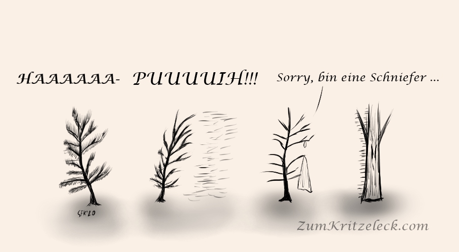 Digitalzeichnung, schwarzweiß, heller Grund, einfache Strichfiguren, eine Bildfolge von drei Bildern: Ein Nadelbaum, der sich nach hinten (hier: links) lehnt, darüber die Schrift "HAAAAAAAA-", im nächsten Bild lehnt er sich nach vorne (hier: rechts), dabei fliegen die Nadeln nach rechts weg, darüber die Schrift "PUUUUUIH!", im letzten Bild steht er gerade, aber ohne Nadeln, dafür mit einem großen Taschentuch in den Zweigen, rechts von ihm ein anderer Baum, dessen Stamm mit Nadeln gespickt ist, erster Baum zum zweiten: "Sorry, bin eine Schniefer"