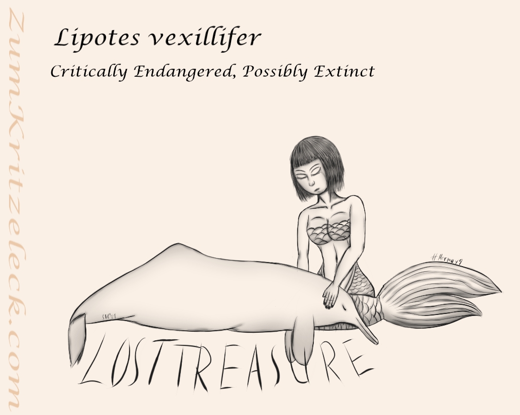 Mermay 9, "Lost Treasure", digital painting, comic style, black on a light beige background: A chinese river dolphin layingt with its head in the lap of a chinese mermaid, text: "Lipotes vexillifer - Critically Endangered, Possibly Extinct"