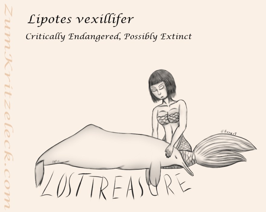 Mermay 9, "Lost Treasure", digital painting, comic style, black on a light beige background: A chinese river dolphin layingt with its head in the lap of a chinese mermaid, text: "Lipotes vexillifer - Critically Endangered, Possibly Extinct"
